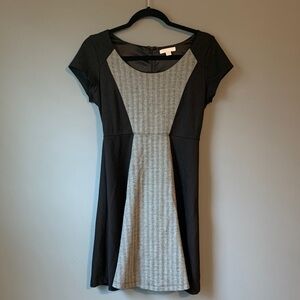 New York & Company Black and Gray Dress